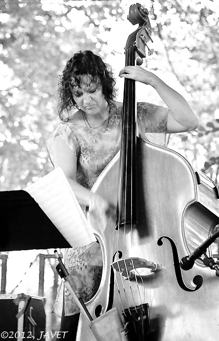 2012 Chicago Jazz Festival