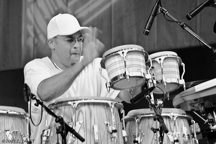 2012 Chicago Jazz Festival